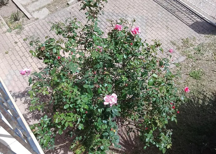 Homestay szállás Smeralda Room's