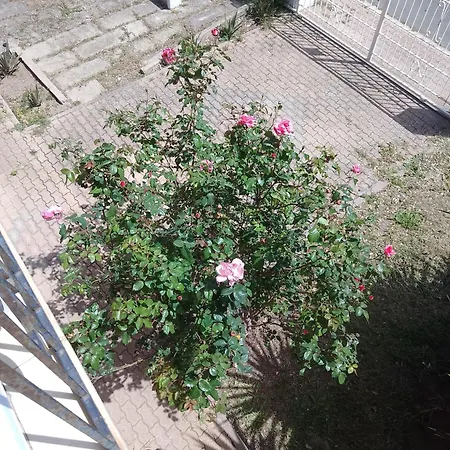 Alloggio in famiglia Smeralda Room's